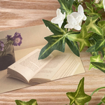 ＊専用注文ページ＊