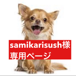 専用ページ