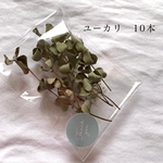 短め𖡼.𖤣𖥧ドライフラワー　ユーカリ10本𖡼.𖤣𖥧