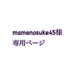 mamenosuke45様専用ページ