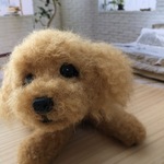 おとママ羊毛フェルト　レッドトイプードル　よく見るポーズ 