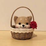 柴犬だるま（赤柴）母の日♡