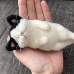 羊毛フェルト　猫【白黒】ねこ