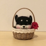 柴犬だるま（黒柴）母の日♡