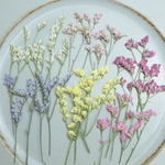 押し花スターチス30本（枝長い）
