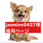 専用ページ