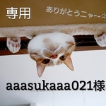 専用　(aaasukaaa021様)