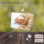 【名入れ無料】 フォトフレーム ペット ペットグッズ 写真立て フォトスタンド ペット用品 アクリル ギフト プレゼント 誕生日 記念日 オリジナル かわいい レーザー 猫 ネコ cat002