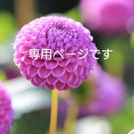 haaam・・・様専用ページ