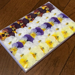 20  macoron春の100円お値引きセール始まりました‼️