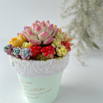 多肉寄せ植え♡マリア♪樹脂粘土2号鉢