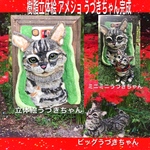momo様専用 うづきちゃん    樹脂立体絵サンプルモデルさんご協力価格 ミニミニうづきちゃん 樹脂ドール