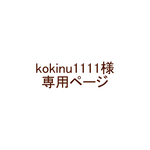 【ご注文品】前あきボタンの袖なしスモック＊グレー恐竜柄＊120