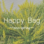 【イヤリングセット】《4/18 21:00〜販売開始》Happy Bag 2021春 送料込