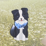 【新作】可愛い ボーダーコリー キーホルダー ストラップ【バッグチャーム】【犬】