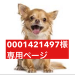 専用ページ