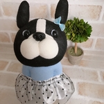 ぽっけに手　可愛い女の子　ボストンテリア