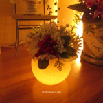 Petit Green Arrange 451