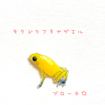 モウドクフキヤガエル☆ブローチ☆