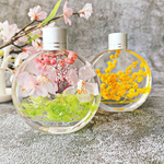 【２本セット】春を告げる桜とミモザのプチハーバリウム spring