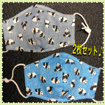 ★幼児さんサイズの立体マスク★ 2枚セット！！