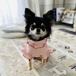 【ピンク】犬服 フリル袖 タンクトップ オリジナルタグ シンプル 