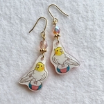 スサァ〜☆オカメインコのピアス・イヤリング