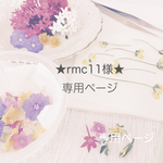 ★rmc11様★専用ページ