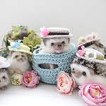 【セミオーダー】（L）お花のカンカン帽