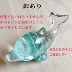 【訳あり】17（土）20時販売 イルカちゃん #28