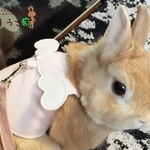 うさぎ用ハーネス【天使・ピンク】