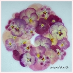 578.押し花アソート〜ピンク系　お花　mix 押し花素材