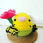 お母さんありがとう♡(セキセイインコ②)
