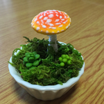 ベニテングタケのプチガーデン・1