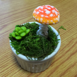 ベニテングタケのプチガーデン・2