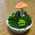 ベニテングタケのプチガーデン・4