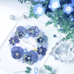 母の日にネモフィラとビオラのアクリルフレーム