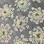 押し花276 レースフラワー着色