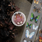 [樂意] [LY-092P] 緋羽-復古(Vintage Butterfly) 蝶々柄 PETマスキングテープ(剥離紙付き)