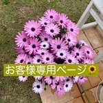 お客様専用ページ💐(Sさま)