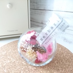母の日 ハーバリウム＊カーネーション ピンク ボタニカル