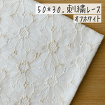 50*30【ローン】可憐なマーガレットの刺繍レース／オフホワイト《 生地 ローン生地 コットン 綿 刺繍 レース マーガレット 花柄 フラワー 北欧 北欧風 COTTONCANDY 刺繍レース 》