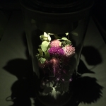 ドライフラワーの灯り　センニチコウとオレガノ のフラワーランプ　ランプのボトルフラワー　母の日、プレゼントにも　花　LEDソーラーランプ　
