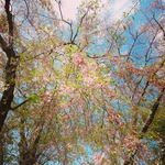 ＊yuzu-mam＊様 専用ページ  ☆order☆