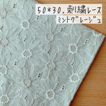 47*50【ローン】可憐なマーガレットの刺繍レース／ミントグレージュ《 生地 ローン生地 コットン 綿 刺繍 レース マーガレット 花柄 フラワー 北欧 北欧風 可愛い マスク 》