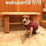 ベンチシューズ