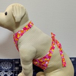 大型犬用クールエプロンピンクバブル柄