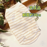 金ラメボーダー☆36☆犬服タンク☆送料無料☆完成品☆セール品☆ハンドメイド☆あんころもち  