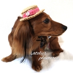 ◇◆ 小さめ 可愛い ♪ 麻紐 編んだ ワンコ用 カンカン帽 ◆◇ ペット用 帽子  犬用カンカン帽子