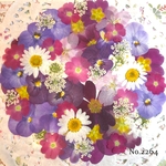 ♡new♡  ♡可愛い押し花セット♡ ♡たくさん入って使いやすい押し花セット♡